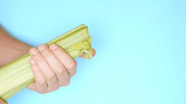 erkek el beyzbol oynamak için bir yarasa olarak bir kereviz sapı tutarak. Eğlenceli gıda projesi