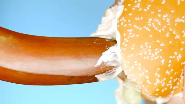 Comida saludable y concepto de dieta. puesto de plátano y hamburguesa. Divertido proyecto de comida rápida —  Fotos de Stock