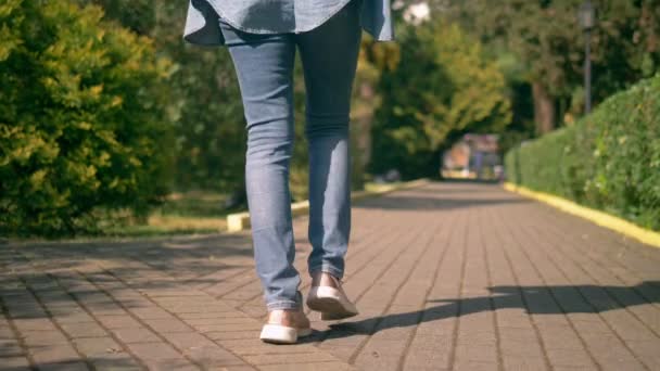 Frauenbeine in Jeans und Turnschuhen sind auf gepflastertem Weg — Stockvideo