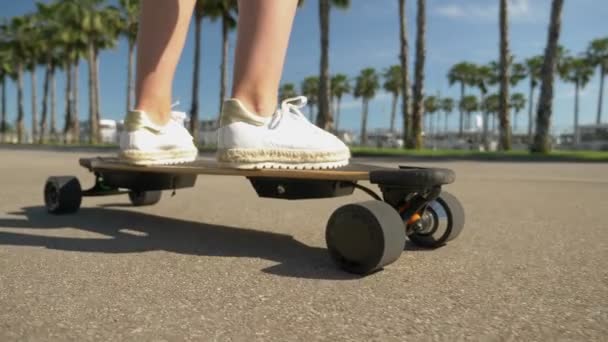 Fille chevauchant une planche à roulettes électrique dans un beau parc avec de grands palmiers, jambes gros plan — Video