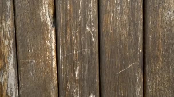 Текстурный фон, старая дверь из деревянных досок со сломанной винтажной дверной ручкой в виде головы льва — стоковое видео