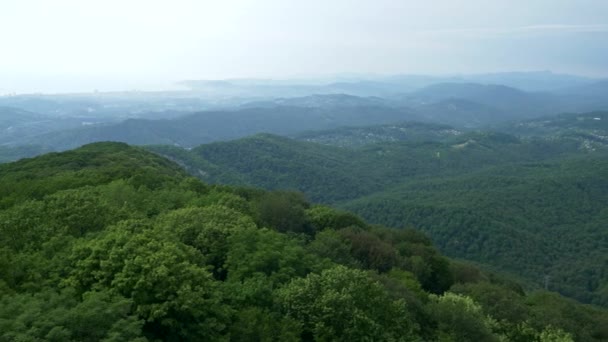 Vista da cordilheira coberta de floresta com céu azul e neblina sobre as montanhas — Vídeo de Stock