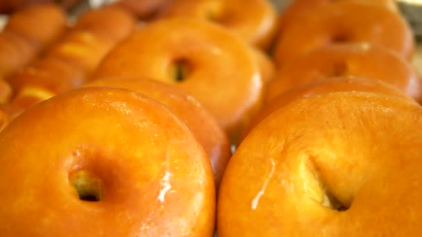 Närbild. rökt ost vid den öppna matfestivalen. Traditionell gourmetmat på marknaden — Stockvideo