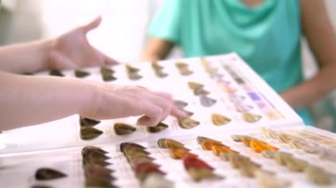 Renk paleti ve saç rengi seçimi. kadın bir saç boyası renk seçer