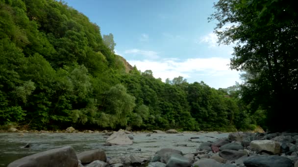 Time lapse. spruzzi d'acqua in un fiume di montagna vicino alla foresta di montagna. vista dell'acqua tra le pietre — Video Stock