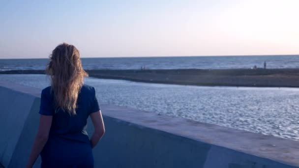 Vue arrière. Belle femme blonde aux cheveux longs marchant seule le long de la promenade. cheveux se développe par le vent. espace de copie — Video