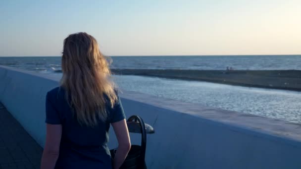 Vista trasera. Mujer hermosa rubia con el pelo largo caminando sola a lo largo del paseo marítimo. pelo se desarrolla por el viento. espacio de copia — Vídeos de Stock