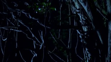 Cadılar Bayramı, geceleri korkunç bir karanlık ormanda boynunda bir yay ile kötü palyaço. yıldırım yanıp söner