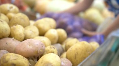 Sosyal pazar konsepti, ucuz ürünler. kadın mağazada tezgahın üzerinde bir ızgara patates toplar