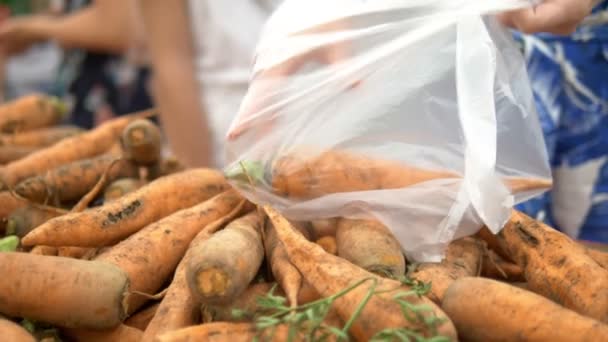 Concepto de mercado social, productos baratos. las mujeres recogen zanahorias sucias en el mostrador de la tienda en una bolsa de plástico — Vídeos de Stock