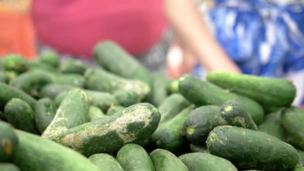 Concepto de mercado social, productos baratos. pepinos descoloridos podridos en el mostrador de la tienda — Vídeos de Stock