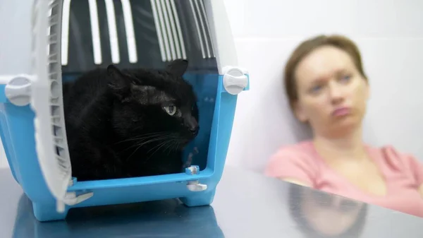 Conceito veterinário. uma mulher está esperando por um veterinário com seu animal de estimação, um gato preto, que está sentado em um transportador de animais de estimação em uma clínica veterinária — Fotografia de Stock