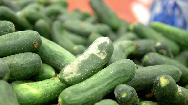 Concepto de mercado social, productos baratos. pepinos descoloridos podridos en el mostrador de la tienda — Foto de Stock