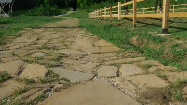 Geplaveide weg die door de weilanden gaat met weelderig groen gras. — Stockvideo