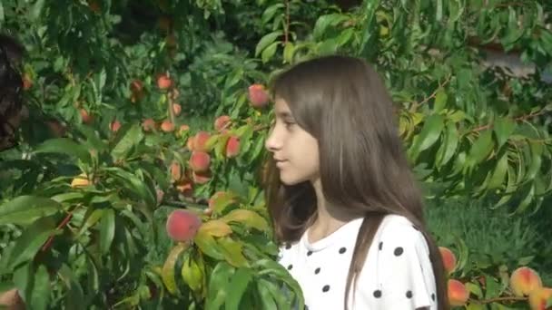 Gelukkige broer en zus genieten van de geur van verse perziken uit een perzikboom in de tuin. — Stockvideo