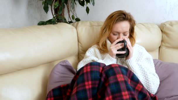 Kranke Frau im Pullover unter Decke trinkt ein Heißgetränk auf dem Sofa im Wohnzimmer — Stockvideo