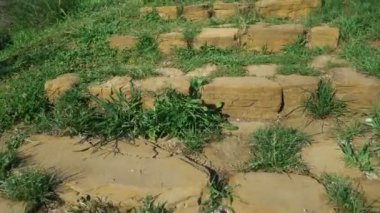 Yeşil gür çim ile mera gidiyor taş döşeli yol.