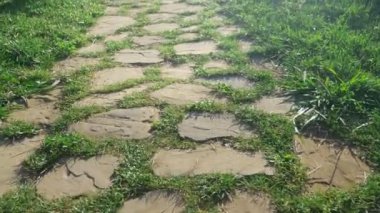 Yeşil gür çim ile mera gidiyor taş döşeli yol.