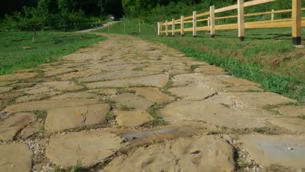 Route pavée en pierre traversant les pâturages avec de l'herbe verte luxuriante . — Video