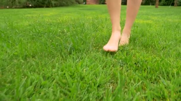 Gambe femminili camminano sull'erba verde nella rugiada a piedi nudi. primo piano — Video Stock