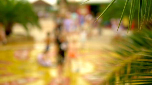 Onscherpe achtergrond gelukkig kinderen spelen in een fontein. Palm bladeren in focus. Bokeh. — Stockvideo