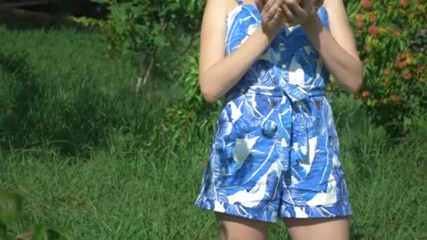 Una mujer sostiene un brazo de melocotones frescos en un huerto de melocotones entre árboles frutales. y disfruta del sabor de los melocotones . — Vídeo de stock