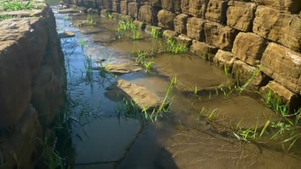 Concepto de diseño de paisaje. camino pavimentado de piedra a lo largo del estanque — Vídeo de stock