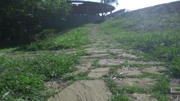 Kamenná dlážděná silnice procházející pastvinami se zelenou bujnou trávou. — Stock video