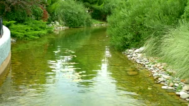 Design peisagistic. Râu în parc cu copaci frumoși de-a lungul malurilor. rățușcă pe apă — Videoclip de stoc