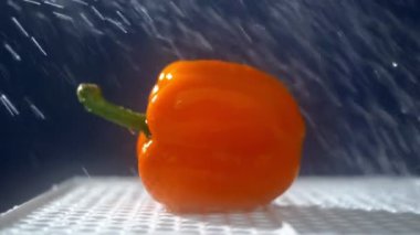 Yağmur jetleri altında stüdyoda karanlık bir arka planda tatlı portakal biber.