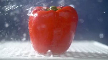 Yağmur jetleri altında stüdyoda karanlık bir arka planda tatlı kırmızı biber.