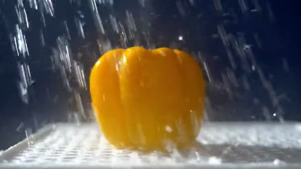 Zoete gele peper op een donkere achtergrond in de studio onder straal van regen. — Stockvideo