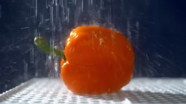 Zoete sinaasappel peper op een donkere achtergrond in de studio onder straal van regen. — Stockvideo