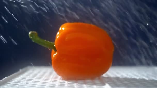 Γλυκό πορτοκαλί πιπέρι σε ένα σκοτεινό φόντο στο στούντιο κάτω από πίδακες βροχής. — Αρχείο Βίντεο