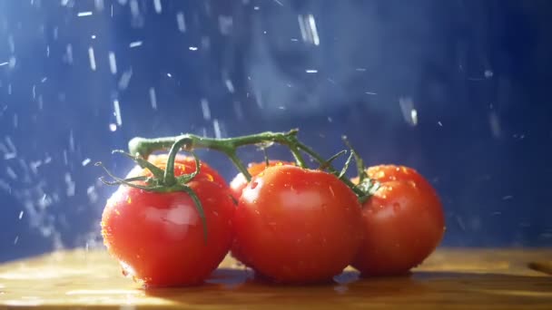 Červená rajčata na větvi na tmavém pozadí ve studiu pod proudem deště. — Stock video