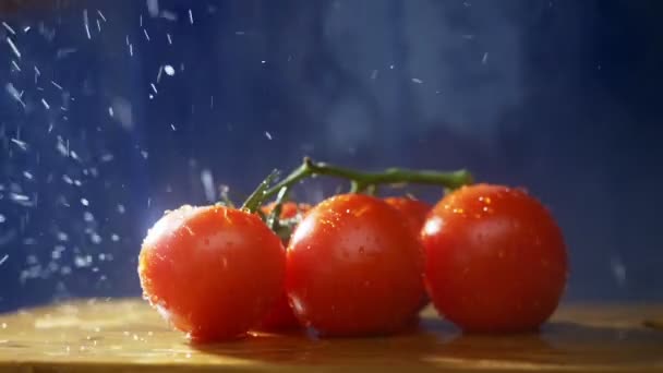 Red tomatoes on a branch on a dark background in the studio under the streams of rain. — Stock Video