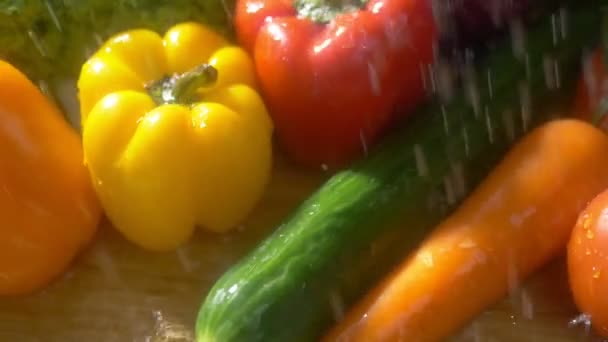Verse groenten op een donkere achtergrond in de studio onder straal van regen. herfst oogst concept — Stockvideo
