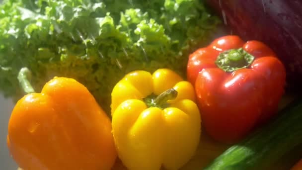 雨のジェットの下でスタジオの暗い背景に新鮮な野菜。秋の収穫コンセプト — ストック動画