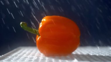 Yağmur jetleri altında stüdyoda karanlık bir arka planda tatlı portakal biber.