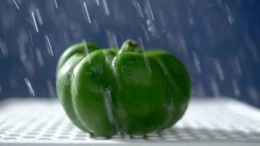 Yağmur jetleri altında stüdyoda karanlık bir arka planda tatlı yeşil biber.