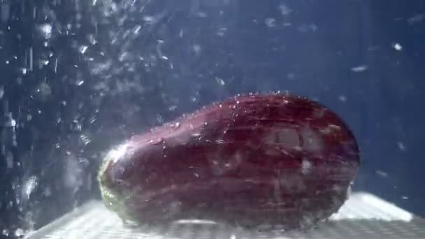 Mooie aubergine op een donkere achtergrond in de studio onder de stromen van regen. — Stockvideo