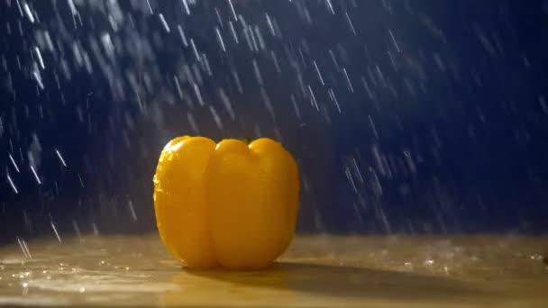 Sweet yellow pepper on a dark background in the studio under jets of rain. — Stock Video