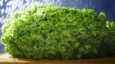 Yağmur jetleri altında stüdyoda karanlık bir arka planda taze yeşil yaprak marul.