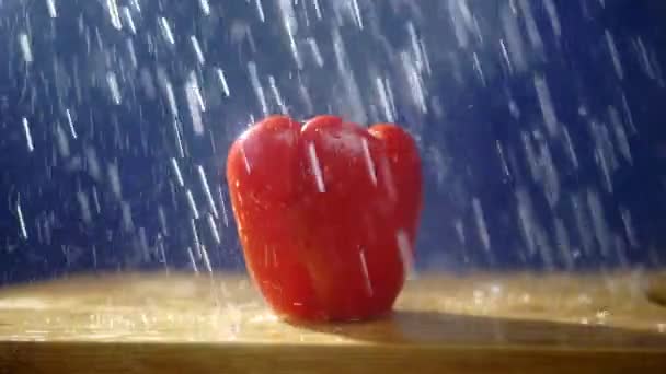 Sweet red pepper on a dark background in the studio under jets of rain. — Stock Video
