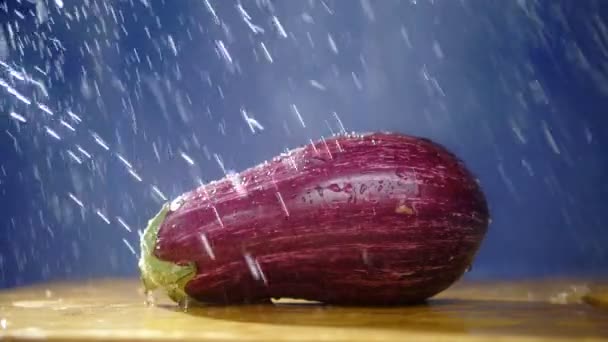 Bela berinjela em um fundo escuro no estúdio sob os fluxos de chuva . — Vídeo de Stock