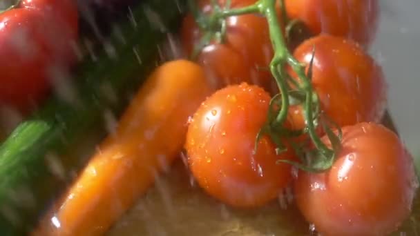 Fresh vegetables on a dark background in the studio under jets of rain. autumn harvest concept — Stock Video