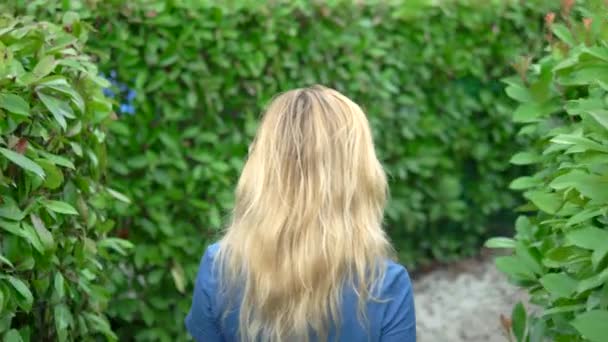 Een vrouw in een korte denim jumpsuit die op een zonnige zomerdag door een heggen doolhof loopt. Achteraanzicht — Stockvideo