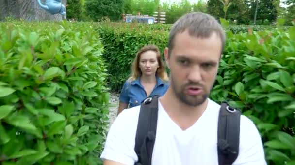En man och en kvinna med en förlorad utsikt vandra genom en labyrint av buskar på en solig sommardag. — Stockvideo