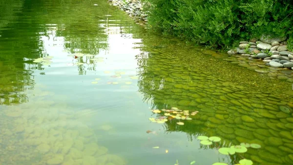 Projeto da paisagem. Rio no parque com belas árvores ao longo das margens. pato na água — Fotografia de Stock