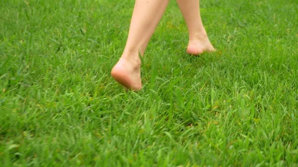 Kaki perempuan berjalan di rumput hijau di embun bertelanjang kaki. close-up — Stok Foto